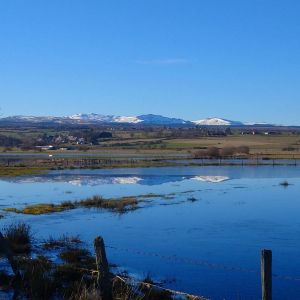 Narse à Roffiac dans le Cantal