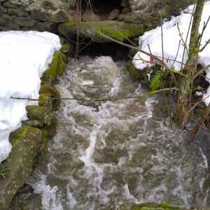 Ruisseau à Roffiac dans le Cantal